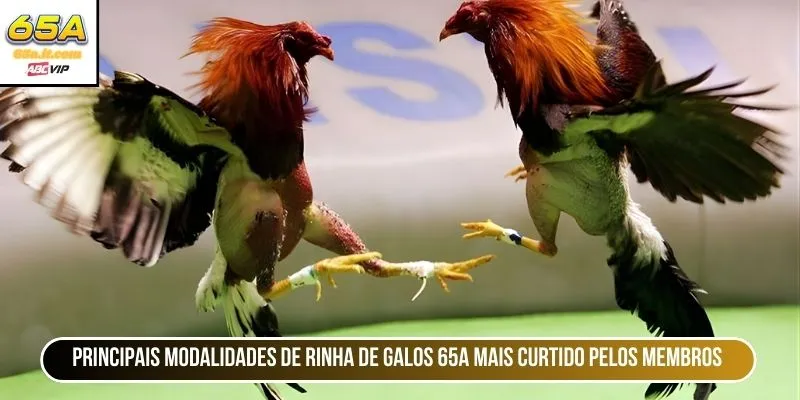 Principais modalidades de rinha de galos 65A Mais curtido pelos membros