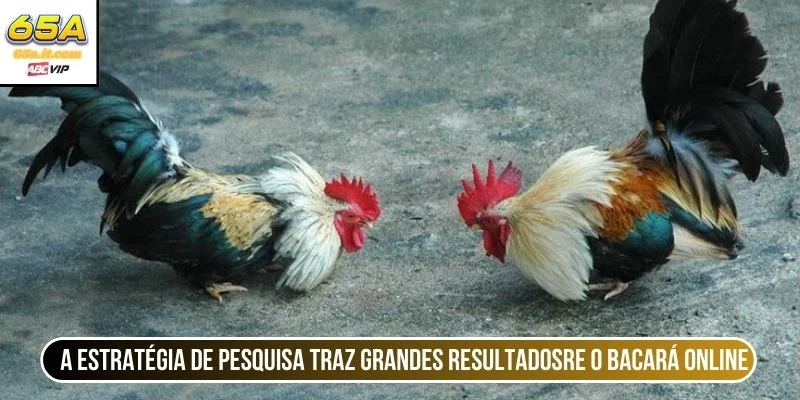 A estratégia de pesquisa traz grandes resultados