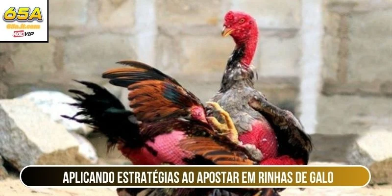Aplicando estratégias ao apostar em rinhas de galo