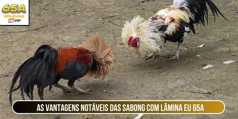 As vantagens notáveis ​​das sabong com lâmina eu 65A