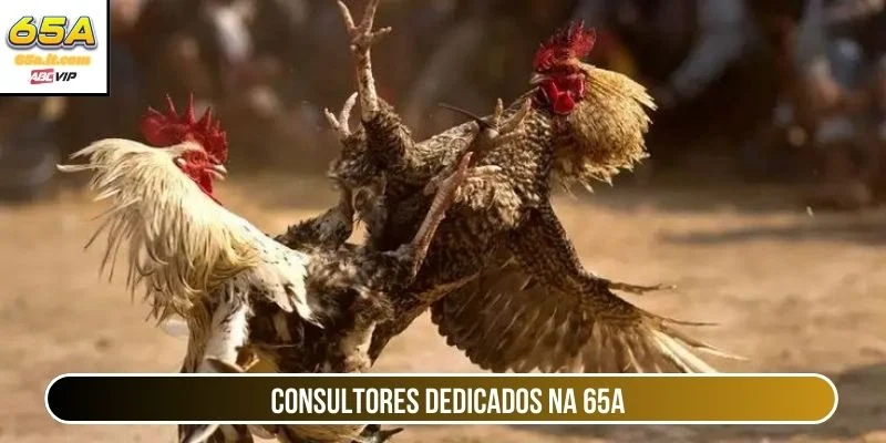 Consultores dedicados na 65A