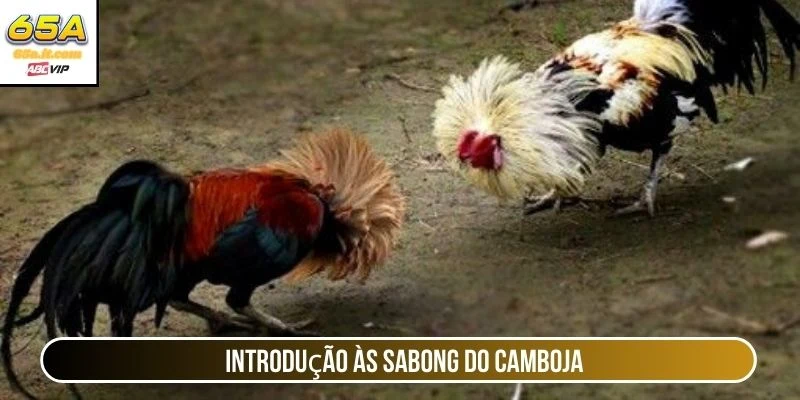 Introdução às Sabong do Camboja