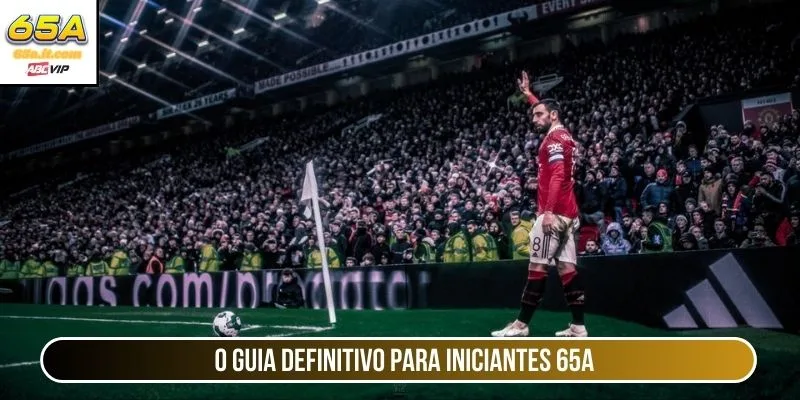 O guia definitivo para iniciantes 65A