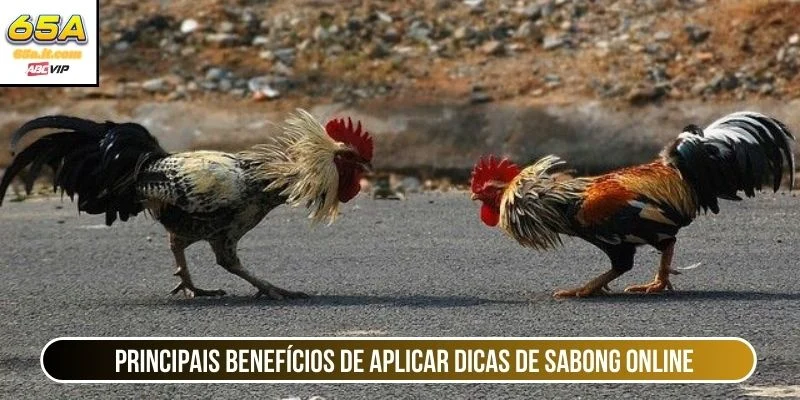 Principais benefícios de aplicar dicas de sabong online