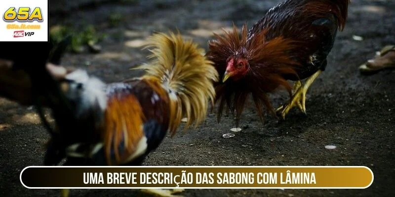 Uma breve descrição das sabong com lâmina