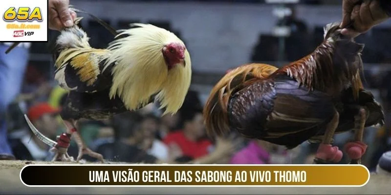 Uma visão geral das sabong ao vivo Thomo